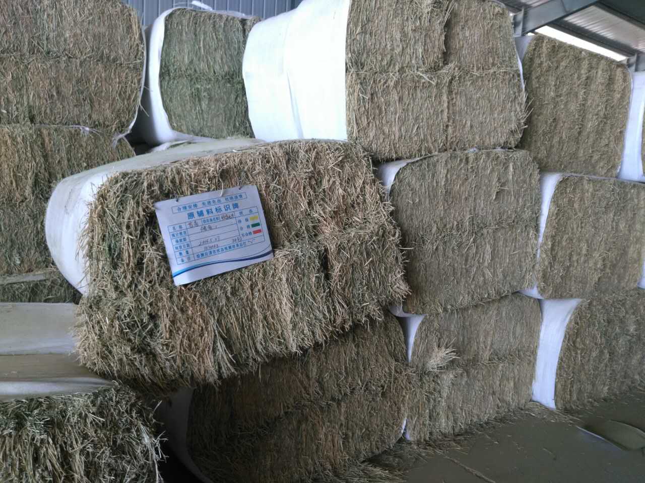 大型鍘草機(jī)操作需要注意什么？