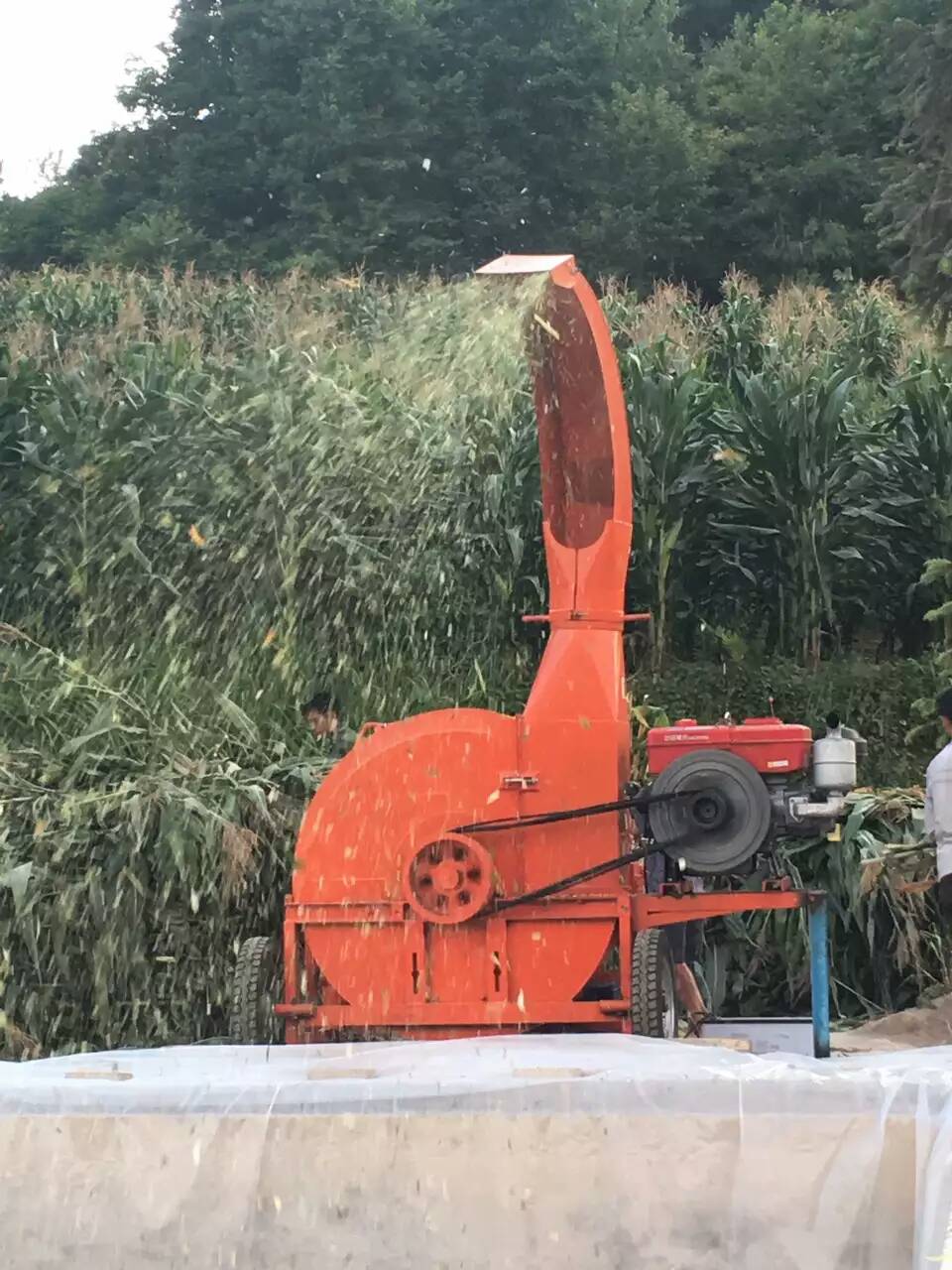 2022新款10噸雙變速箱鍘草揉絲機(jī)多少錢一臺(tái)？